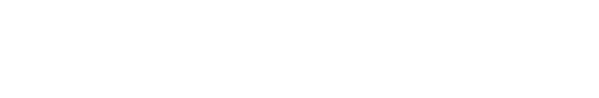 Default Logo